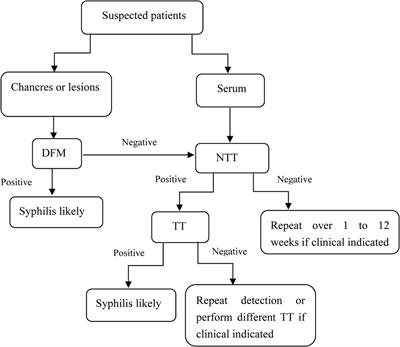 Frontiers | Laboratory Diagnostic Tools For Syphilis: Current Status ...